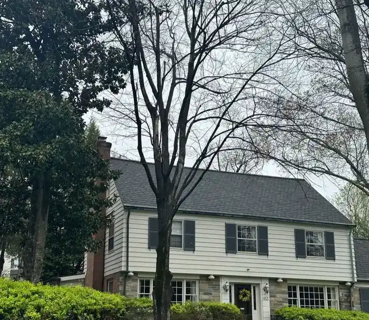 Professional Tree Service in Culpeper, VA Your Reliable Tree Expert in Culpeper, VA